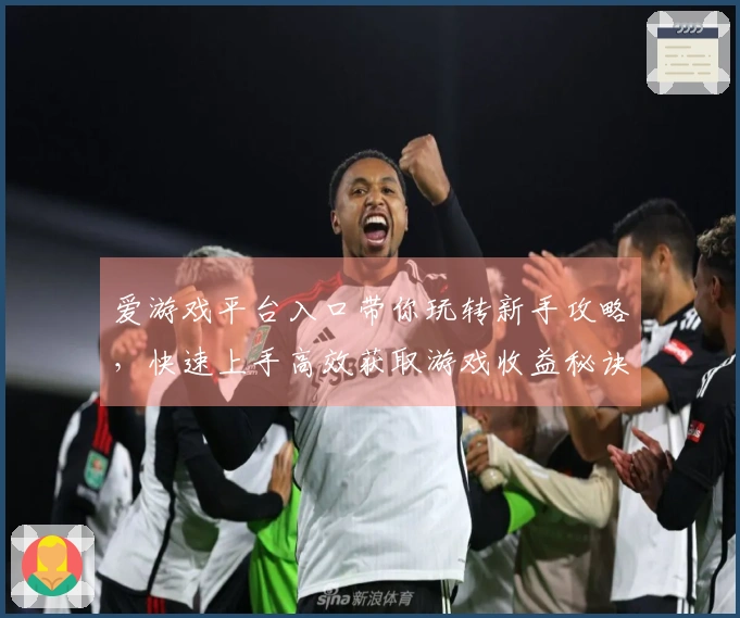 爱游戏平台入口带你玩转新手攻略，快速上手高效获取游戏收益秘诀